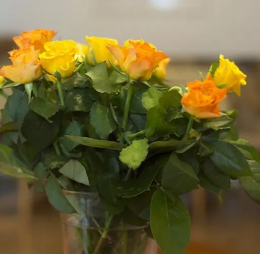 Antares Am See * Maurach (Achensee)