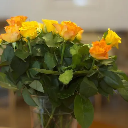 Antares Am * 毛拉赫